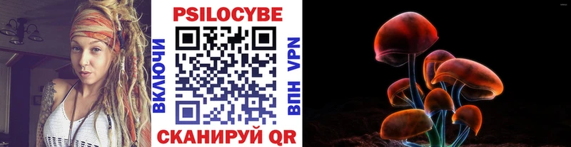 Псилоцибиновые грибы Magic Shrooms  Поронайск 